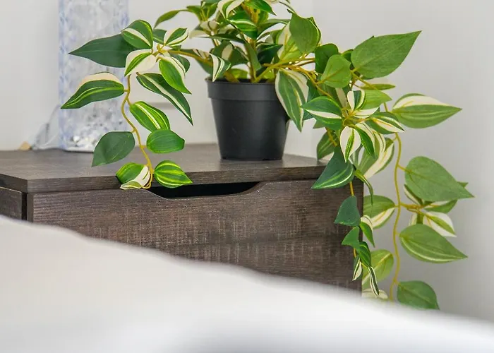 Seaview Urban In Mackenzie Apartment *